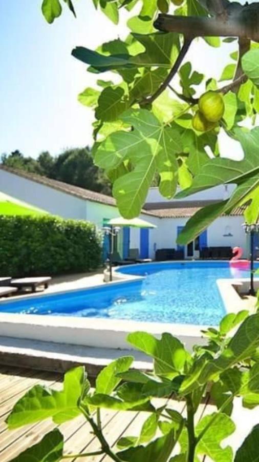 La Villa Du Menhir Chambre D'Hotes Bize-Minervois Exterior foto